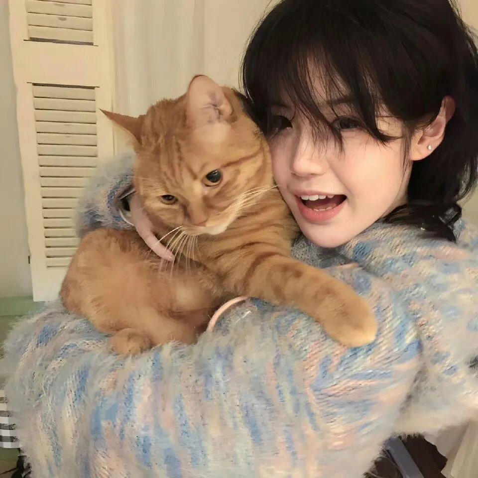 王爷他又上热搜了